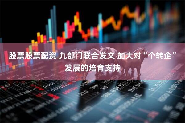 股票股票配资 九部门联合发文 加大对“个转企”发展的培育支持