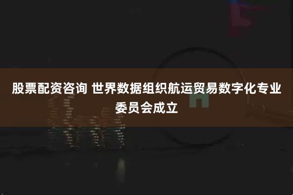 股票配资咨询 世界数据组织航运贸易数字化专业委员会成立